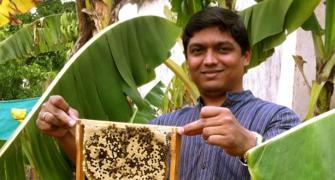 To bee or not to bee: How this man is capitalising on the buzz