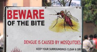 Dengue: Myths and facts