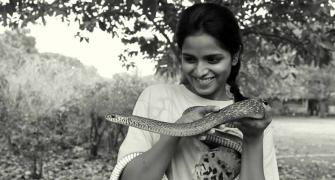 The fascinating story of a 22-year-old snake rescuer
