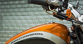 In Pics: Harley-Davidson Sportster 1200 Custom