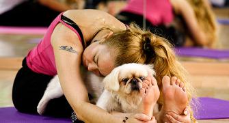 Why dogs make great yoga companions