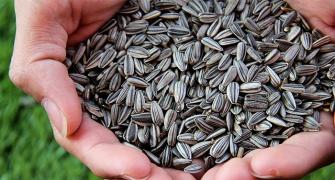 5 seeds that can help you lose weight easily