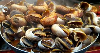 Would you dare to taste boiled snails in Morocco?