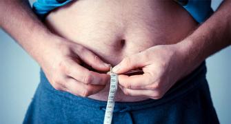 Why obese men have lower sperm counts