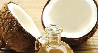 Is coconut oil poisonous?