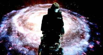 Why was Stephen Hawking so loved in popular culture?