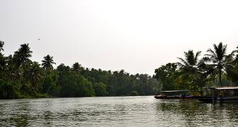 Kaziranga to Kerala: Pix that capture India's beauty