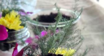 Recipe: Flower Pot Black Forest Sundae