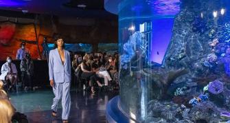 Oh fish! A fashion show in an aquarium