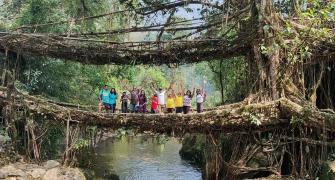Why We Love Meghalaya's Root-Bridges