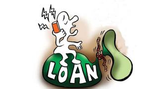 What Type Of Loan Could You Opt For?