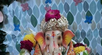 'Bappa Has Always Granted My Wishes'