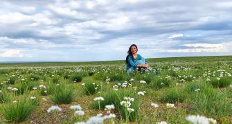 Mystical Mongolia