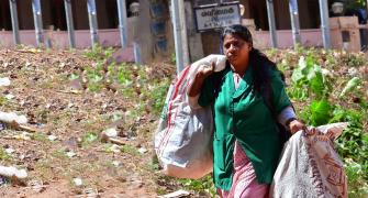 Garbage Collector Whose Book Is Taught