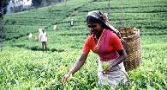 Labour problem hits Tata Tea arm's image abroad