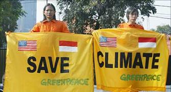 Govt suspends Greenpeace India's registration, freezes bank accounts