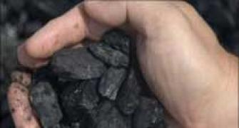 Bengal Inc's latest bone of contention: Coal India