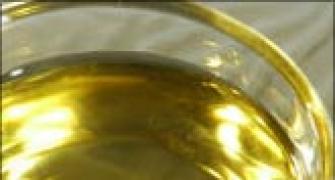 Govt mulls 10% cap on trans fat in vegetable oil