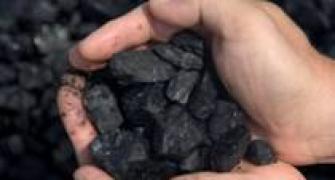 Coal India to decide on anchor investors soon