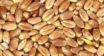 Subsidised wheat, rice to 1.5 cr BPL families soon