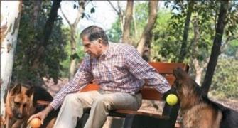 Tata vs Chandrasekhar: What corporates say