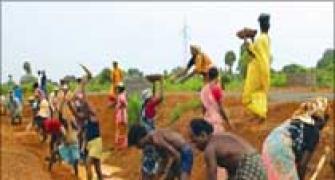 Rural employment guarantee scheme for NGOs