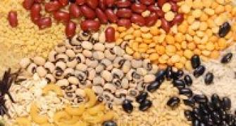 Govt plans Food Security Bill