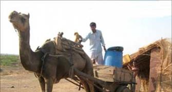 How parched villages save water in Rajasthan