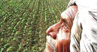 Obama effect: ICAR plans agri campaign