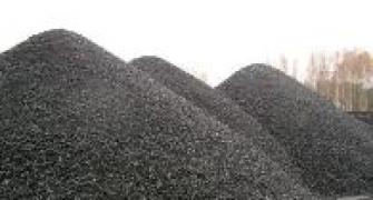 Grey market bets big on Coal India issue