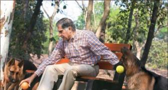 The amazing story of how Ratan Tata built an empire