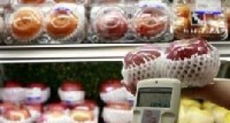 Government bans food imports from Japan