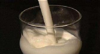 Global milk producers offer tech support to India