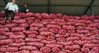 Raid unearths hidden stocks of 7,000 kg onions