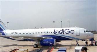 No talks with Qatar Airways on stake sale: IndiGo