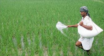 'Farmers' curse can ruin everything,' Sena warns Fadnavis govt