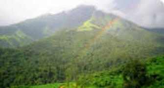 CIC orders report on Western Ghats be made public