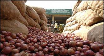 Patchy rains: Onion shortage looms