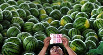 World food prices may hit record high in 2013