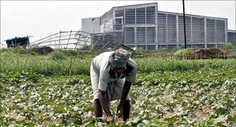 Allowance for Singur farmers to be doubled: Mamata