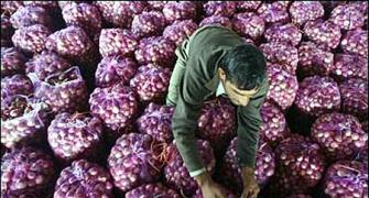 Govt puts stock limits on onion, potato to check prices