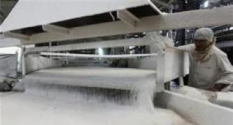 Lift curbs on sugar sector: Rangarajan panel