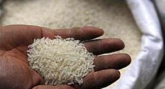 India's rice exports to fall as rivals sell cheap