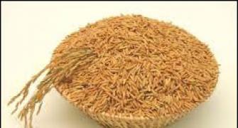 Withdraw export duty on de-oiled rice bran