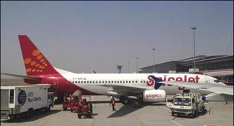 Fuel cost is artificially high: SpiceJet CEO