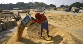 Govt spends Rs 3.65 to deliver foodgrain worth Re 1!