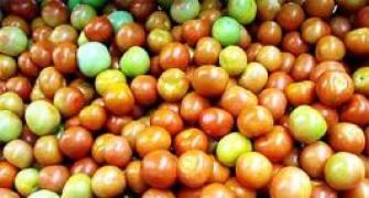 Tomatoes remain costlier at upto Rs 80/kg