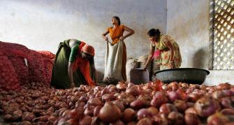 Onions prices to ease in 2-3 weeks on fresh output: Minister