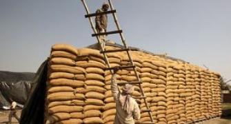 Global foodgrain prices slump to 6-month low