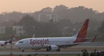 SpiceJet shares hit air pocket, slump nearly 14%